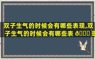 双子生气的时候会有哪些表现,双子生气的时候会有哪些表 🐛 现和反应